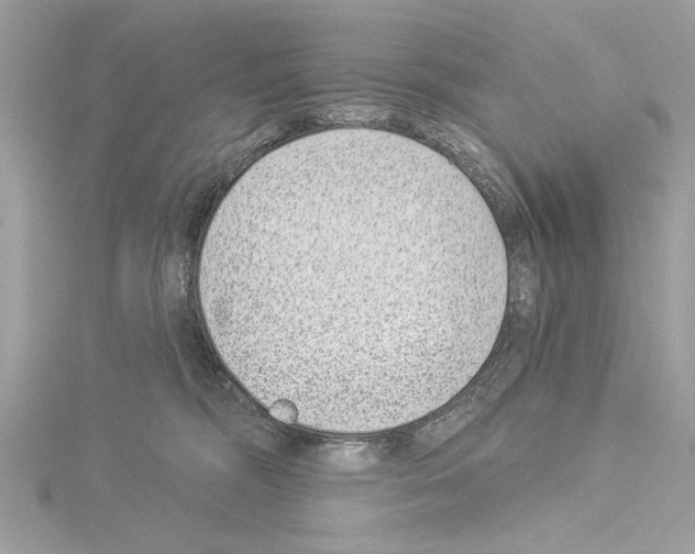 X0000114490326200911301111