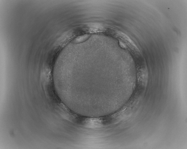 X0000114490327200911301111