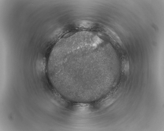 X0000114490328200911301111