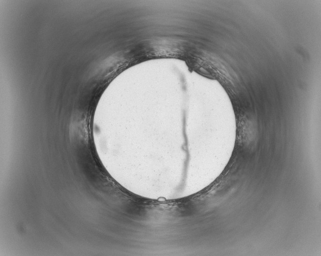 X0000114490329200911301111