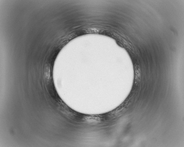 X0000114490331200911301111