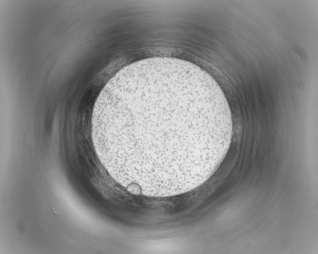 X0000114490334200911301111