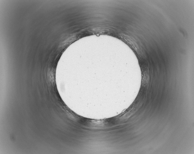 X0000114490335200911301111