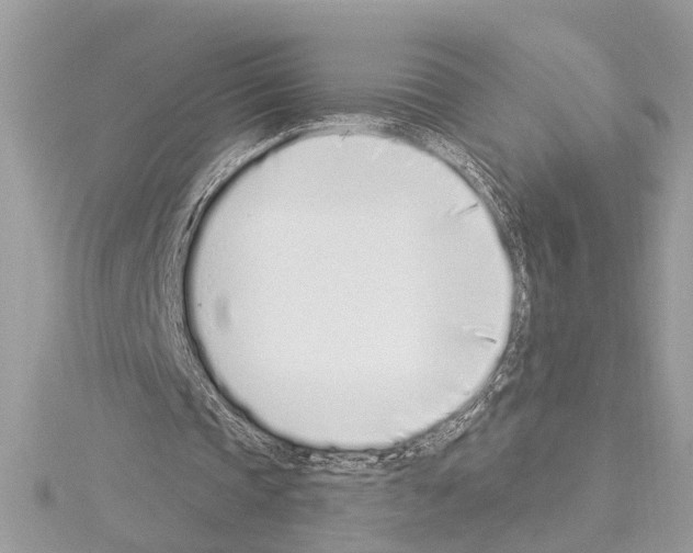 X0000114490337200911301110