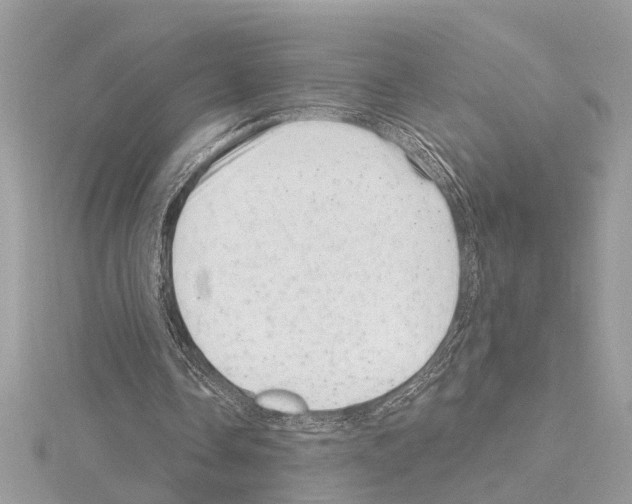 X0000114490338200911301110