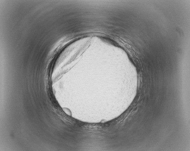 X0000114490339200911301110