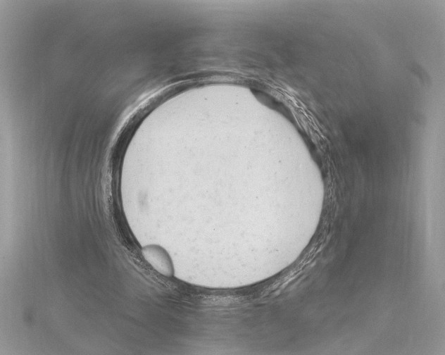 X0000114490342200911301110