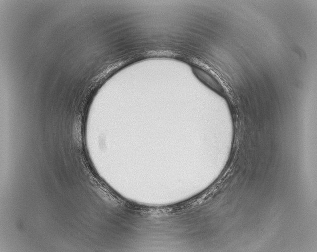 X0000114490345200911301110