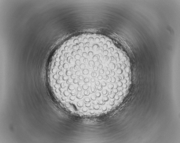 X0000114490346200911301110