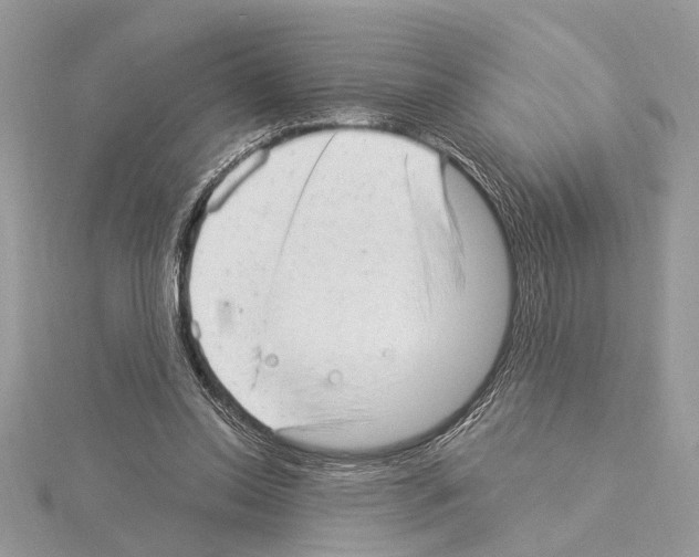 X0000114490350200911301111