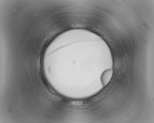 X0000114490353200911301111