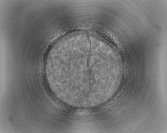 X0000114490354200911301111