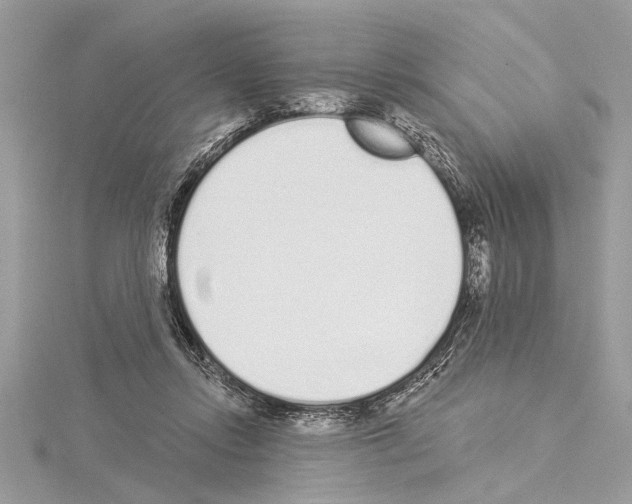 X0000114490358200911301111