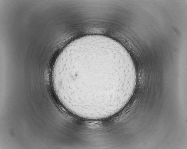 X0000114490359200911301111