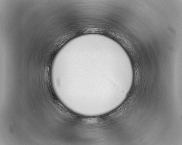 X0000114490361200911301111