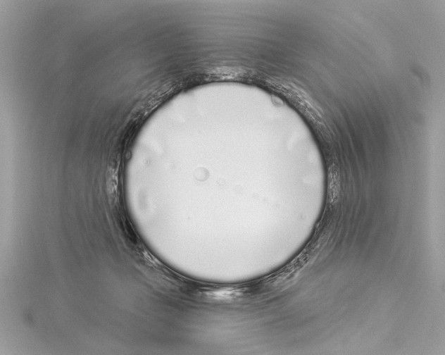 X0000114490365200911301111