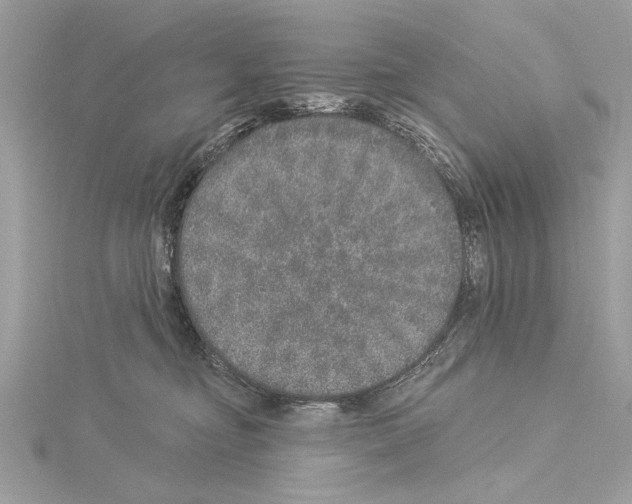 X0000114490374200911301111