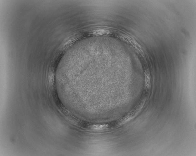 X0000114490375200911301111