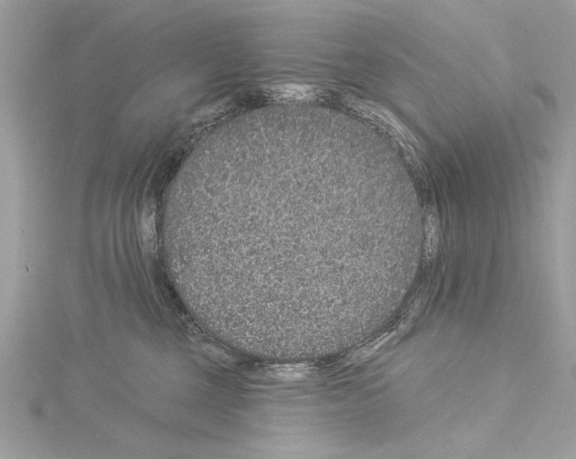 X0000114490377200911301111