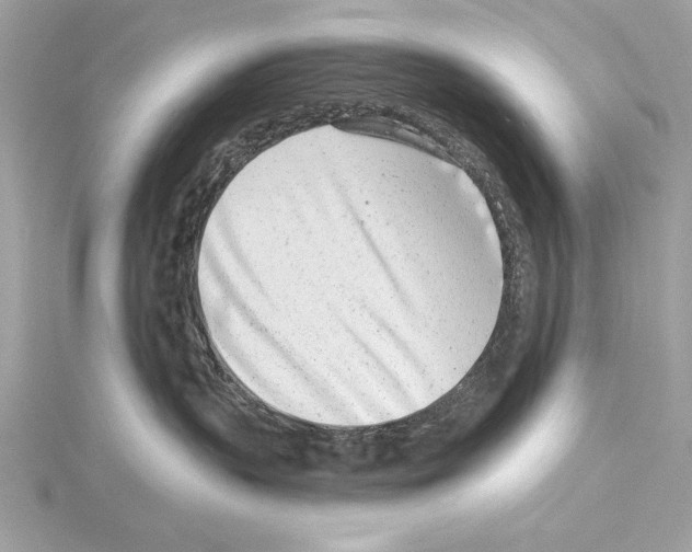 X0000114490383200911301111