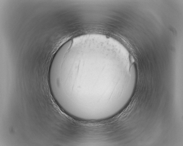 X0000114490385200911301110