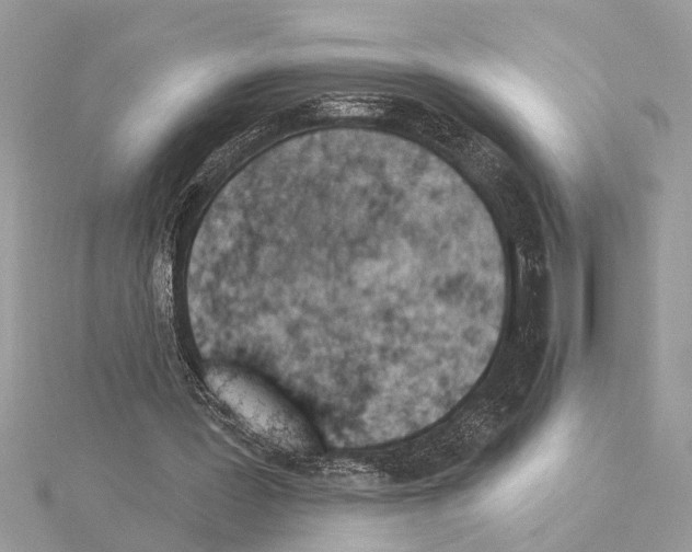 X0000114490387200911301110