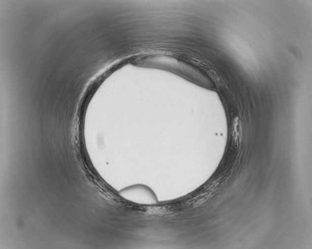 X0000114490388200911301110