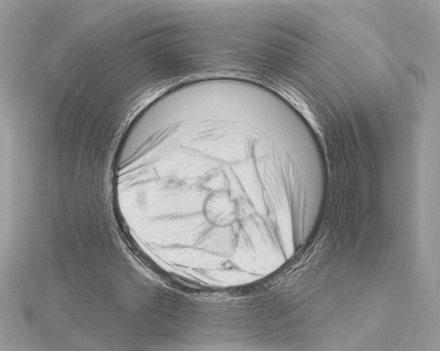 X0000114490389200911301110