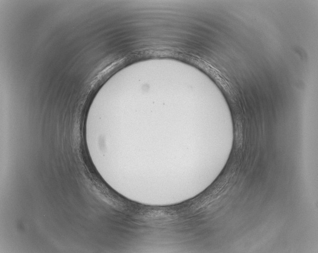 X0000114490390200911301110