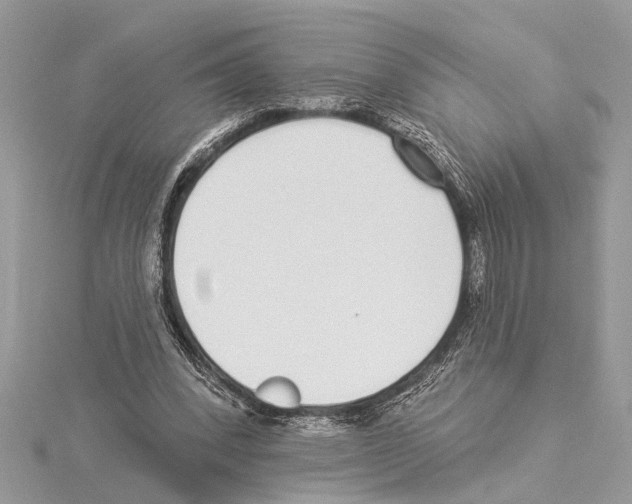 X0000114490392200911301110