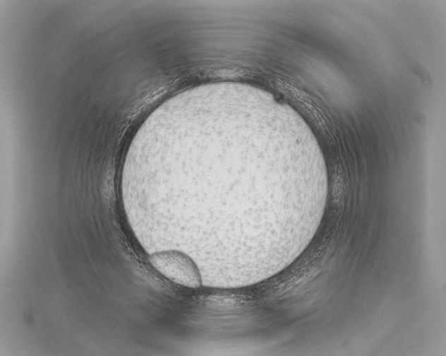 X0000114490394200911301110