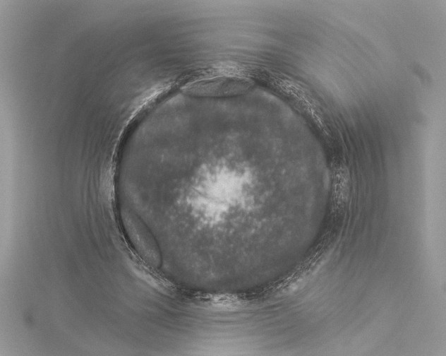 X0000114490395200911301110