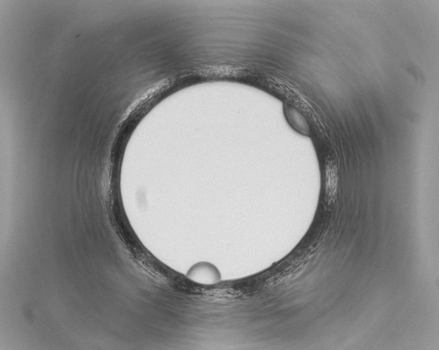 X0000114490396200911301110