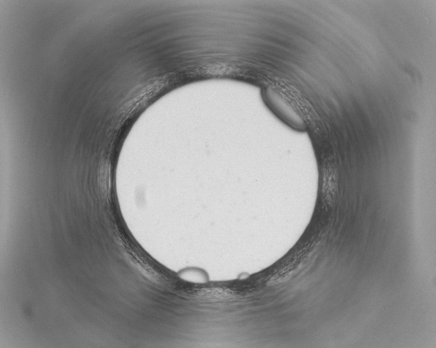 X0000114490397200911301110