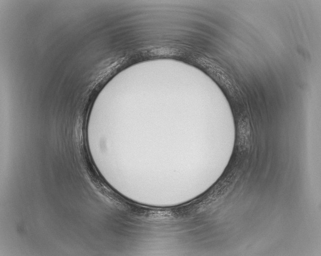 X0000114490398200911301110