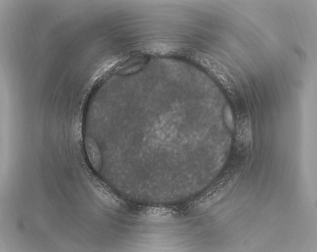 X0000114490399200911301110