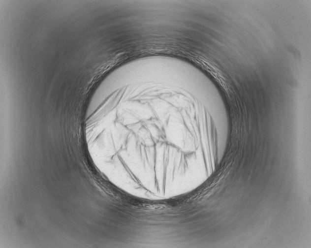 X0000114490401200911301110