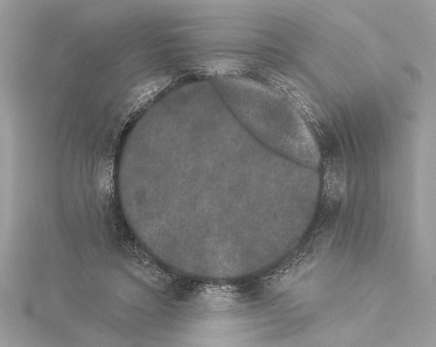 X0000114490403200911301110