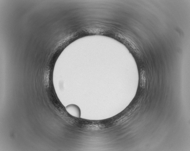 X0000114490404200911301110