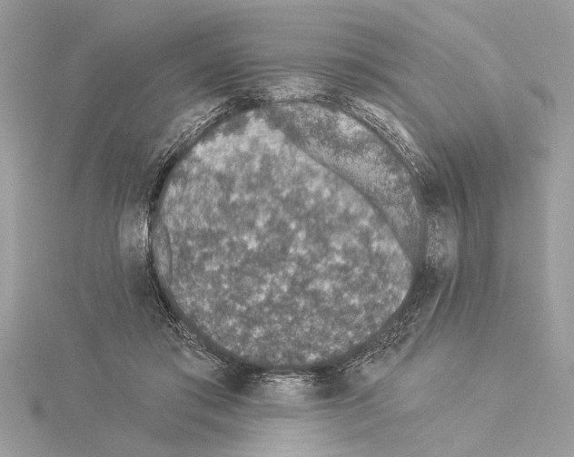 X0000114490405200911301110