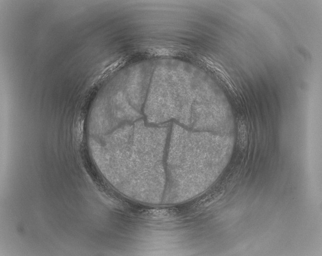 X0000114490406200911301110