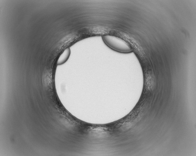 X0000114490407200911301110