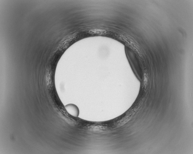 X0000114490408200911301110