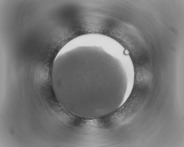 X0000114490411200911301110