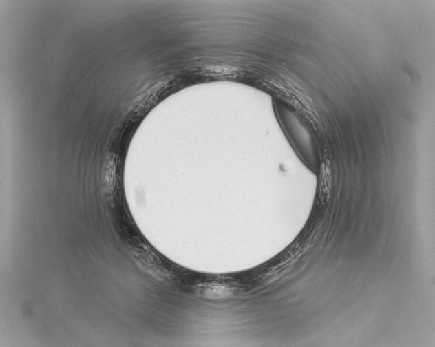 X0000114490412200911301110