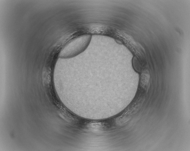 X0000114490413200911301110