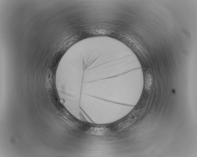 X0000114490414200911301110