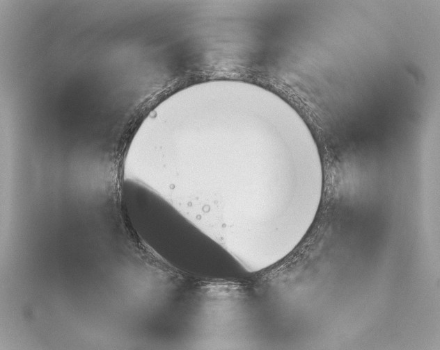 X0000114490415200911301110