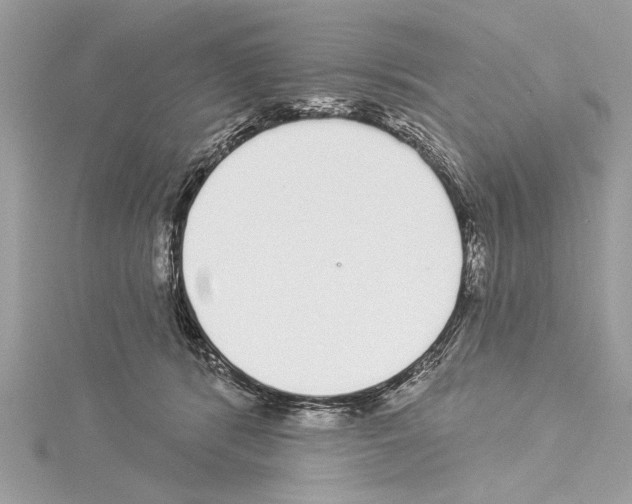 X0000114490416200911301110