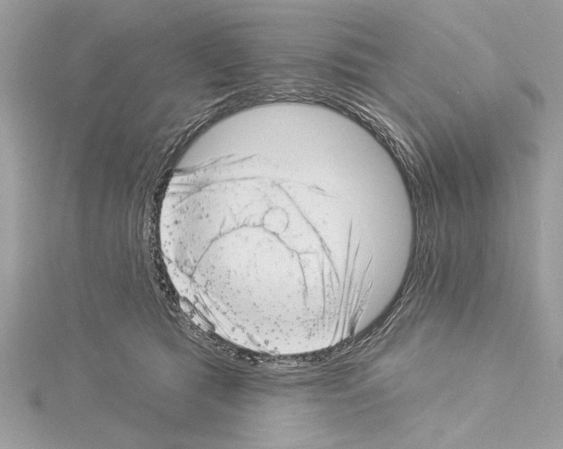 X0000114490417200911301110